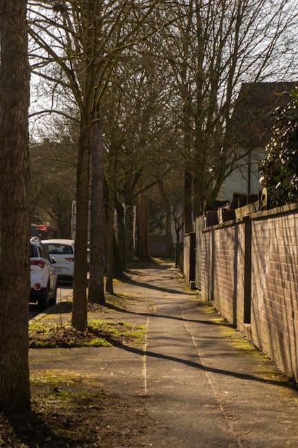 A narrow sidewalk in a residential area with tall, leafless trees lining the pavement on the left side, casting shadows across the concrete path. On the right side, a high brick wall runs parallel to 